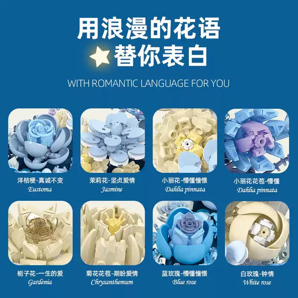 レンタル落ちLUCKIESとBLUE MOON Multiply