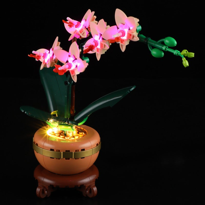 presell 274 pcs Mini Orchid