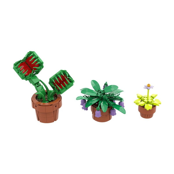 ▲Zooo Plants 塊根まん3点セット2300 d82e61a49f28752eb19a3c57bc257f