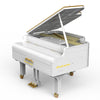 2745PCS XINYU YC-21003 Piano Bluetooth Automatic Playing