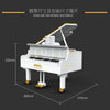2745PCS XINYU YC-21003 Piano Bluetooth Automatic Playing