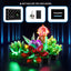 DIY LED Light Up Kit for SUCCULENTS 10309