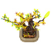 (Gobricks version) 643pcs MOC Apricot bonsai