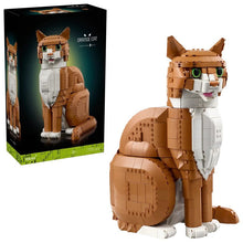 1755pcs Orange Cat