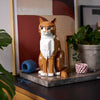 1755pcs Orange Cat