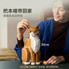1755pcs Orange Cat