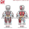 DY1813-1814 Transparent human anatomical skeleton Minifigures