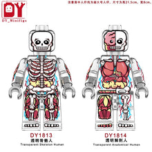 DY1813-1814 Transparent human anatomical skeleton Minifigures