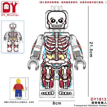 DY1813-1814 Transparent human anatomical skeleton Minifigures