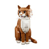 1755pcs Orange Cat