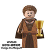 WM6059 Harry Potter series Minifigures