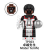 TP1038 Superhero Eagle Woman Green Lantern Elemental Human Black Luthor Minifigures