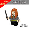 PG8161 Harry Potter Series Minifigures