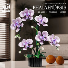 619pcs MJi 13115 PHALAENOPSIS