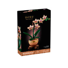 presell 274 pcs Mini Orchid