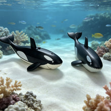 Orca Marine Animal Arctic Adventure