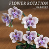 619pcs MJi 13115 PHALAENOPSIS