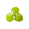 5058 Flowers and Plants Cold and Tropical Leafy Shrubs Forest Foliage Saplings 10PCS
