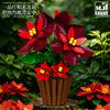 589PCS MJi 13123/13124/13125/13126 Peace Lily/Poinsettia/Maple Leaf/Pine Tree