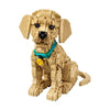 2102pcs Golden Retriever Puppy