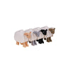 74188 Pastoral Farm Ranch Sheep Long-staple Sheep