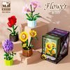 MJi Bouquet Potted Plant Series