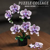 619pcs MJi 13115 PHALAENOPSIS