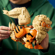 1190pcs Arcanine