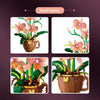 503PCS DK Coffee Cup with Orchid