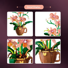 503PCS DK Coffee Cup with Orchid