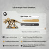 1154pcs Dinosaur Fossils: Triceratops