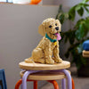 2102pcs Golden Retriever Puppy