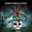 1234PCS	 KQIBOXXR Gothic Skull Venus Flytrap