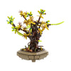 (Gobricks version) 643pcs MOC Apricot bonsai