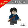 PG8161 Harry Potter Series Minifigures