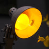 613 pcs Disney Pixar Luxo Jr.