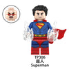 TP1038 Superhero Eagle Woman Green Lantern Elemental Human Black Luthor Minifigures