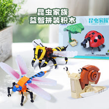 KAZI Lnsect Family KY80040 KY80041 KY80042