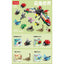 318PCS 9102 Insect World 10in1