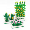 Flowering cactus, tulip, sunflower, cactus vine combination