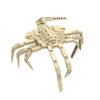 564PCS Facehugger C7909