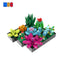 682PCS Succulent Plant C7896