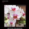 711PCS 10113 Orchid Flower