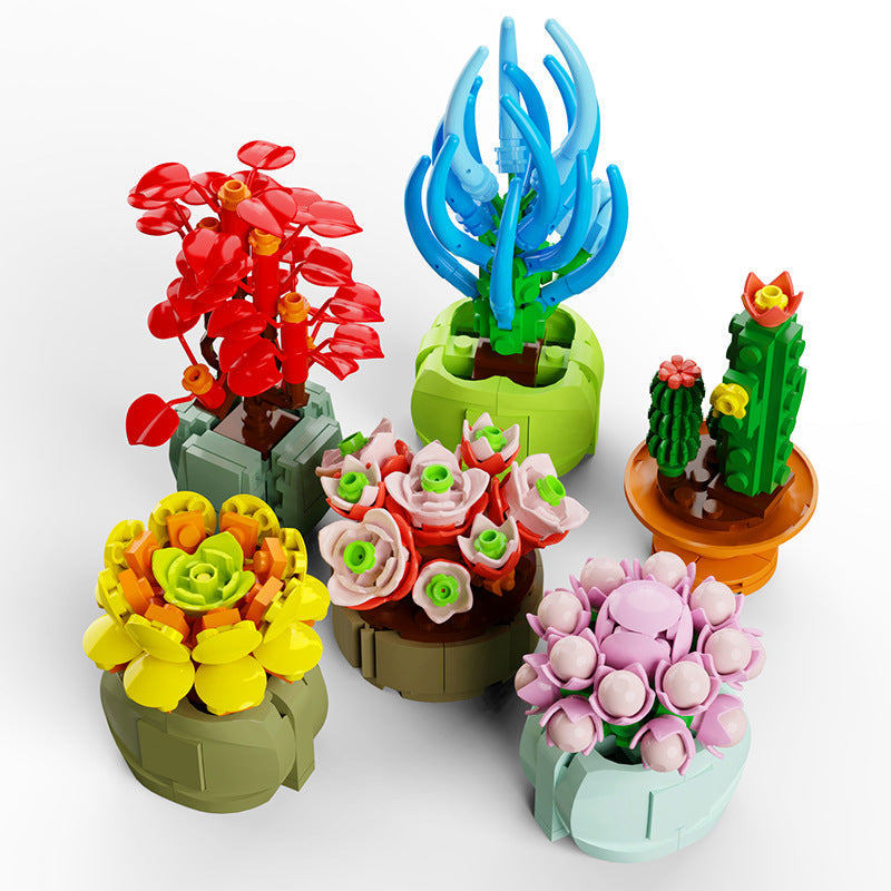 QIZHILE Succulent Plants – Joy Bricks